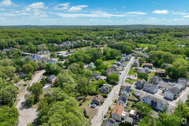 Quiet streets are surrounded by lush vegetation in Blackstone.