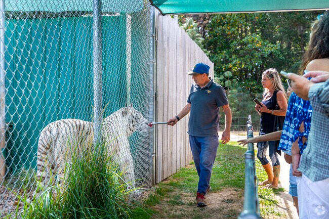 The Great Cat Park near Williams in Grants Pass has a large variety of exotic cats.