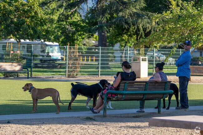 Butcher Dog Park in Rose-Sartorette is a haven for dogs to frolic and play off-leash.