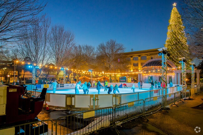 Chico Ice Rink in the Plaza is a popular event during the winter months.