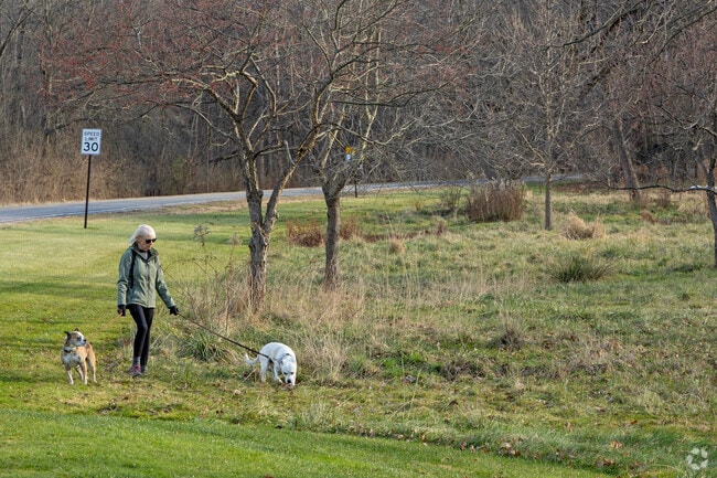 The Big Creek Reservation offers ample space to walk your dog.