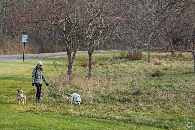 Strongsville's Mill Stream Run offers plenty of space to walk your furry friend.