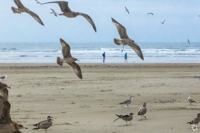 Admire the wildlife at Mockrocks Beach in Moclips.