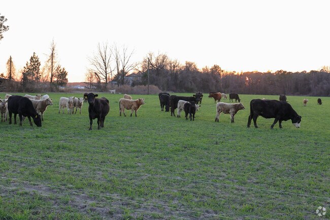 Sampson County ranks first in both crop and livestock production in North Carolina.