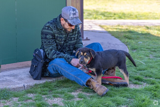 Take the dog out for a walk at Sutton Wilderness Trail Park.
