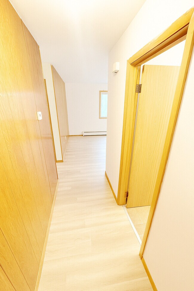 Lake Point Drive Apartments, Madison, WI 53713 - photo 3