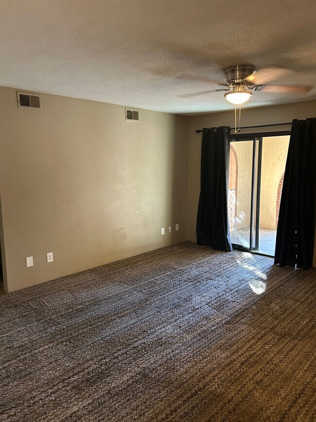 Large Living room