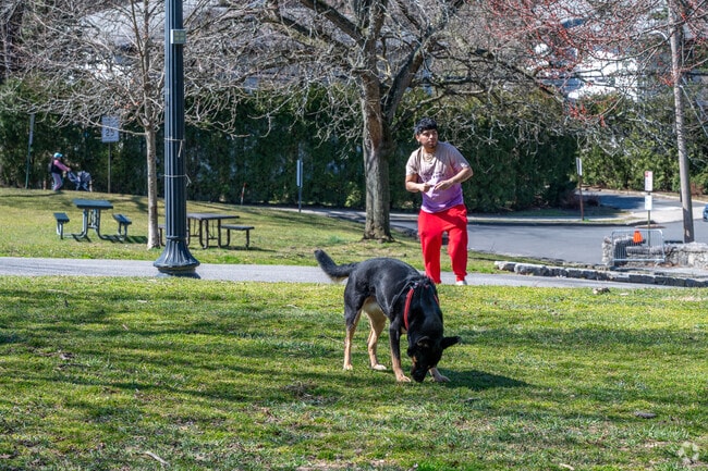 Residents of both Tarrytown and Sleepy Hollow walk their dogs in Patriots Park.