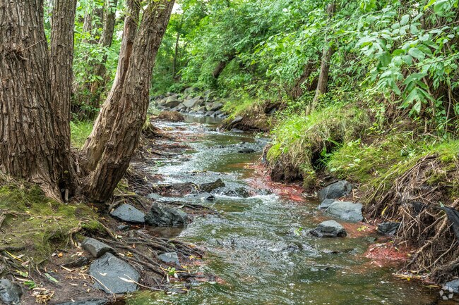 Keene Creek Park in Cody has a beautiful creek running through it.