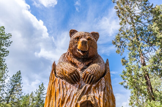 Pine Grove is a forested community with a lot of charm.