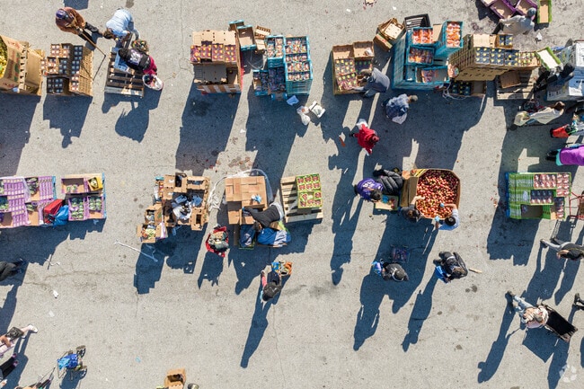 The Food Project is the largest food distribution organization in Carrollton Ridge.