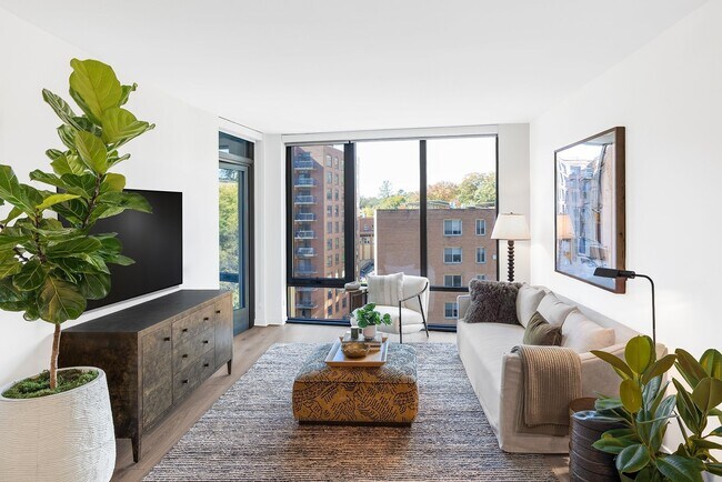 Zephyr at Wardman Park, Washington, DC 20008 - photo 7