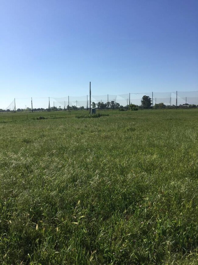 7271 Elk Grove Florin Rd, Sacramento, CA 95829 - photo 3