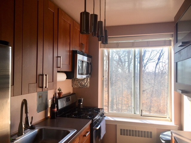 Gourmet kitchen