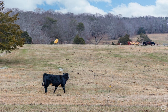Dodson Branch has many farms especially with livestock.
