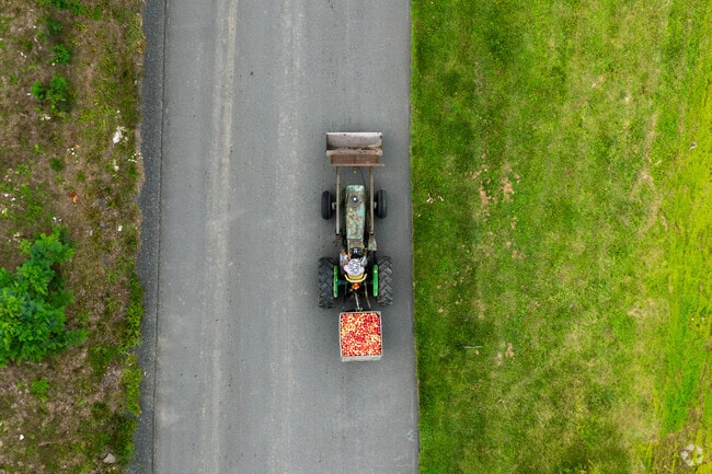 Lloyd farmers deliver fresh fruits to local markets daily.