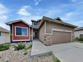 1107 Ibex Dr, Windsor, CO 80550