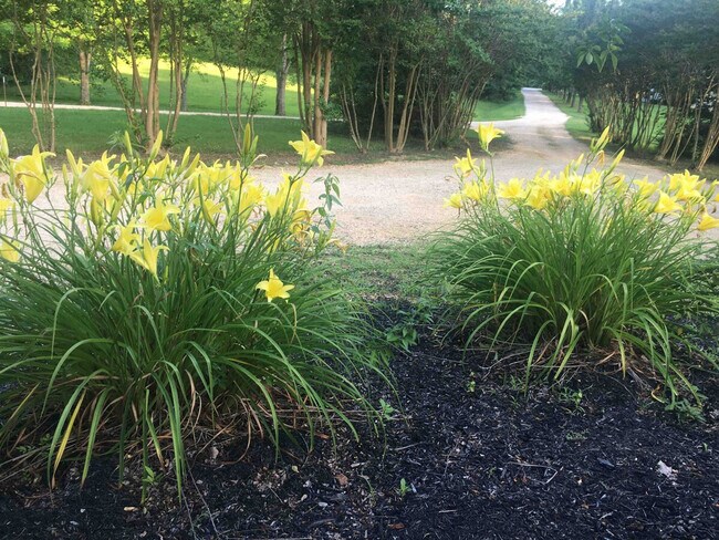 175 Laveta Ln unit ID1343305P, Camden, TN 38320 - photo 4