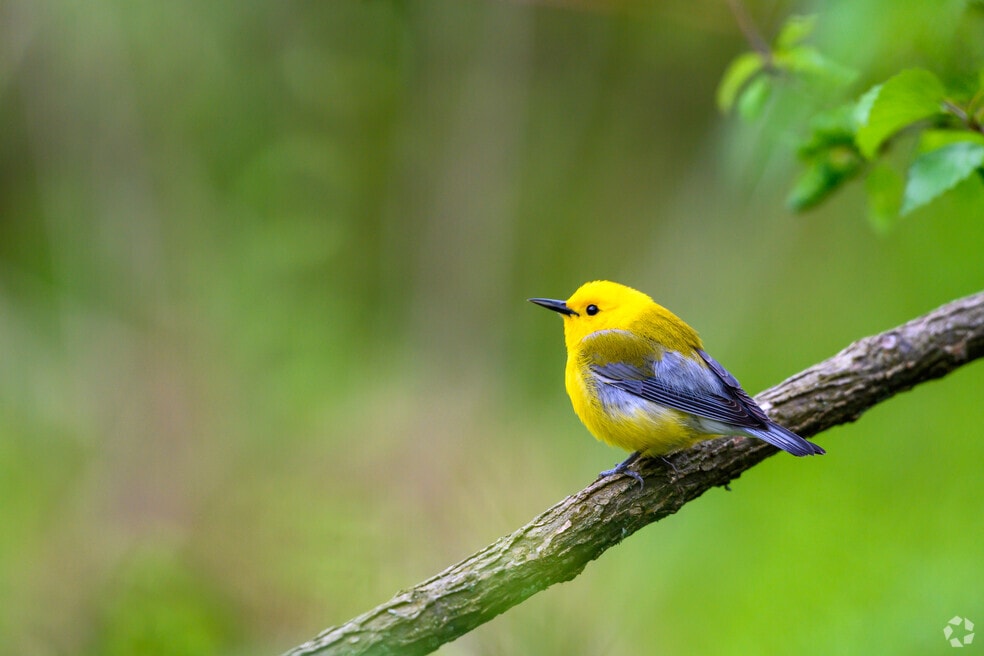 NH_Groveton_500335_P2_v1_EF_062824