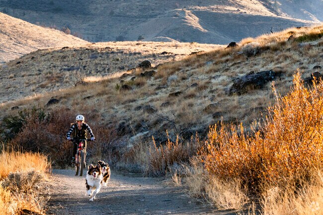 Juniper Hills is adjacent to the Tom Cooke Trail, which is excellent for lengthy bike rides.