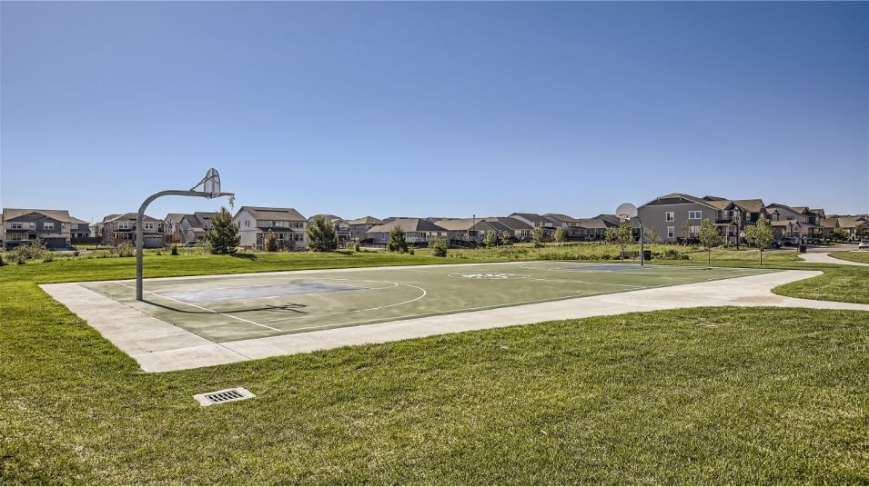 Basketball court amenity