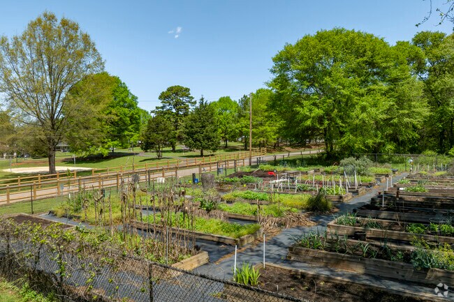 Locals can practice their green thumb at the community garden of Eva B. Barber Park.