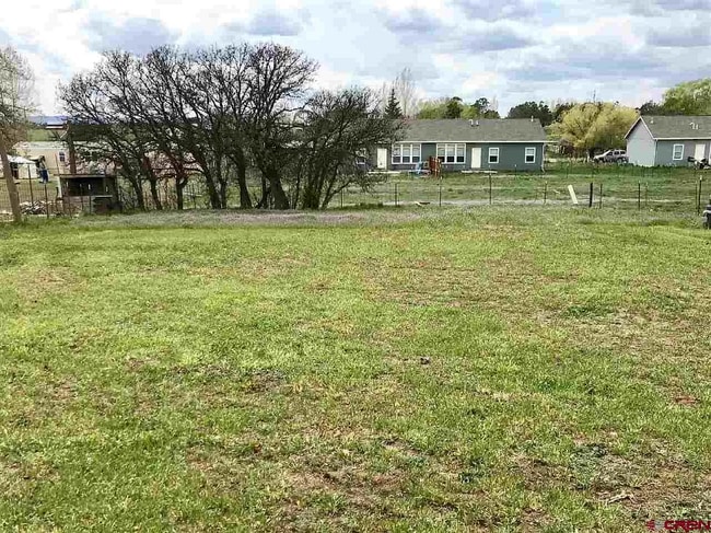 589 Co-172 unit B, Durango, CO 81303 - photo 6