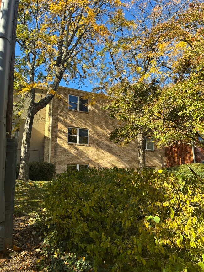 5911 Mayflower Ct unit 5911 Mayflower Court, Alexandria, VA 22312 - photo 7