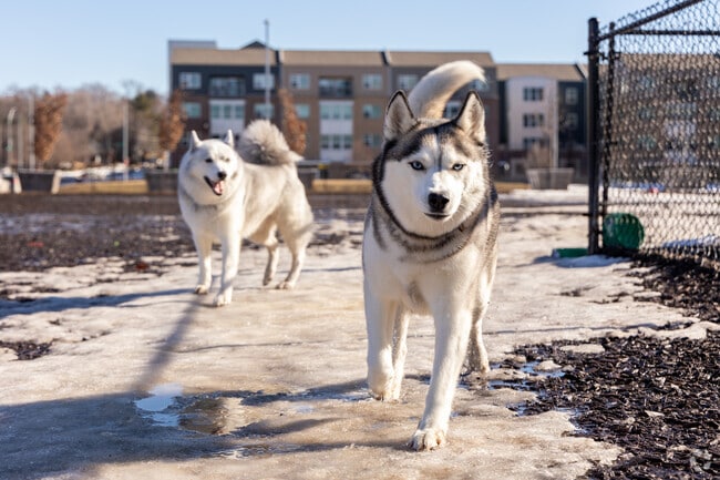 Your furry friends will enjoy unleashed fun at the Aksarben Dog Park.