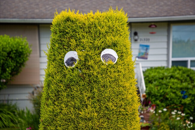 Personality abounds in the North Hill neighborhood.