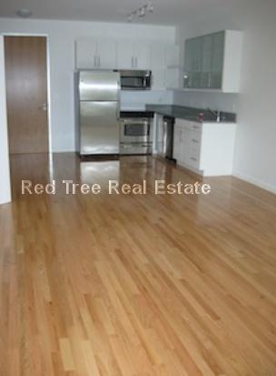 30 Caldwell St Unit 208, Boston, MA 02129
