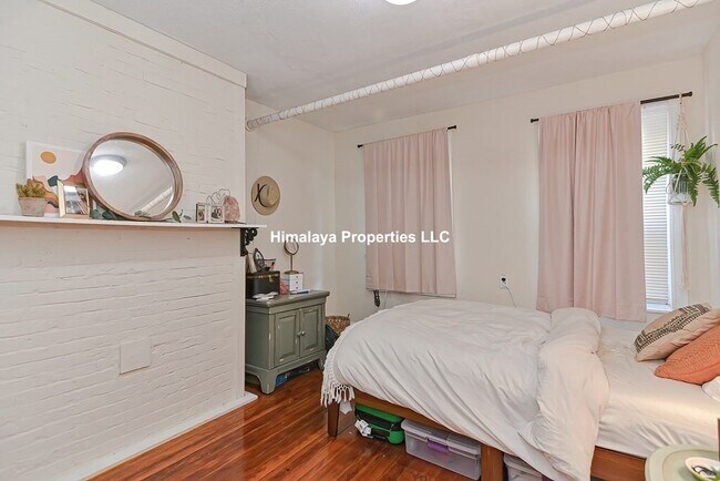 139 Hillside St, Roxbury Crossing, MA 02120 - photo 3