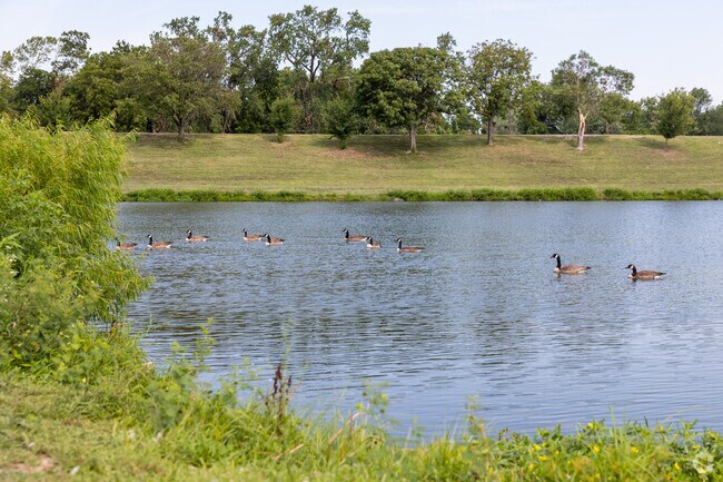 Geese at a nearby pond in Clarland Acres enjoy the morning air.