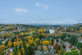 Rainier Crest