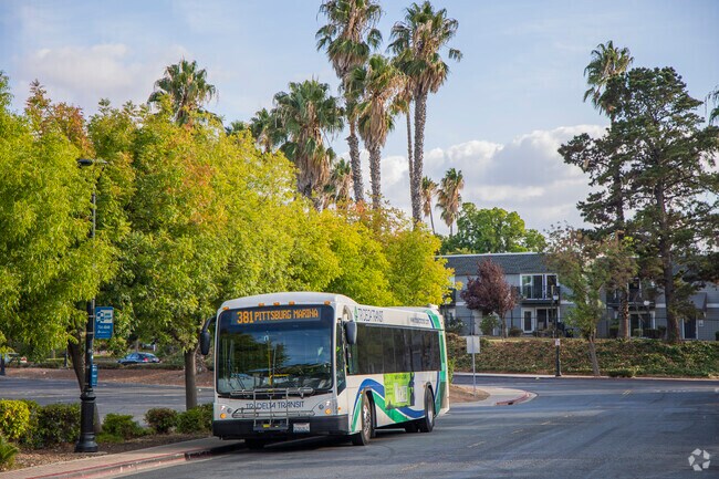 Downtown Pittsburg is served by the Tri Delta Transit bus lines.