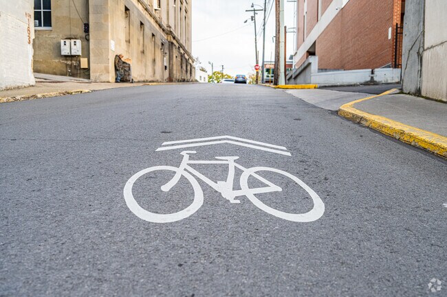 Bike riders all around Sunnyside and Downtown Morgantown have clear paths to ride.