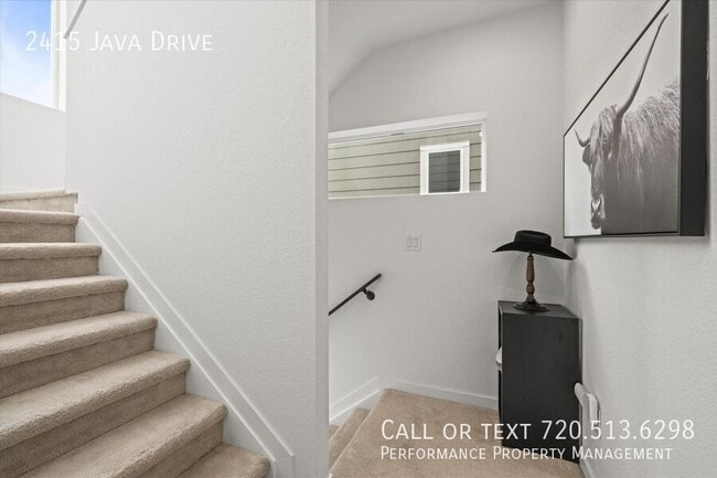 2415 Java Dr, Castle Rock, CO 80109 - photo 5
