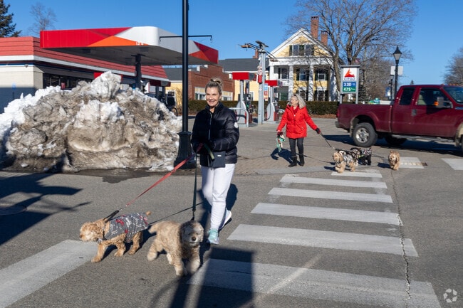 Locals enjoy a brisk walk with their dogs down Main Street in Kennebunk.