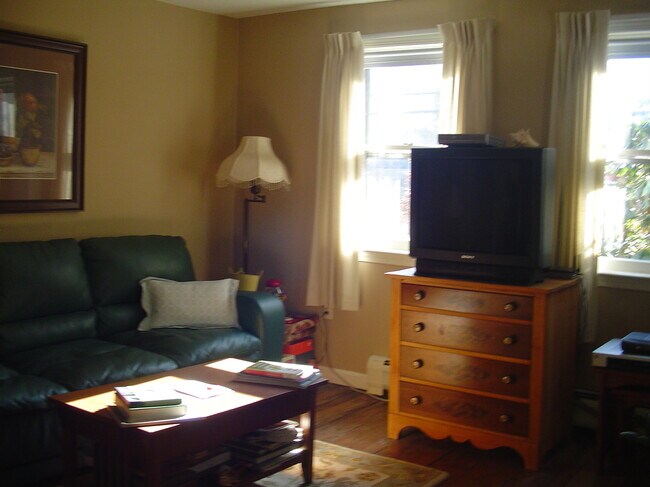 Living area, bedroom (not pictured) adjoins this room