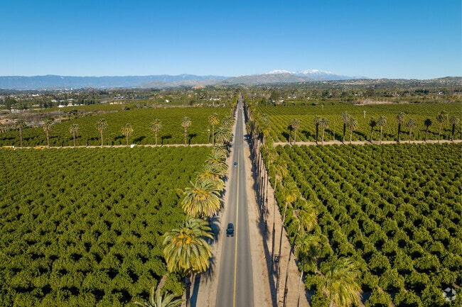 One of the main roads leading into Arlington Heights.