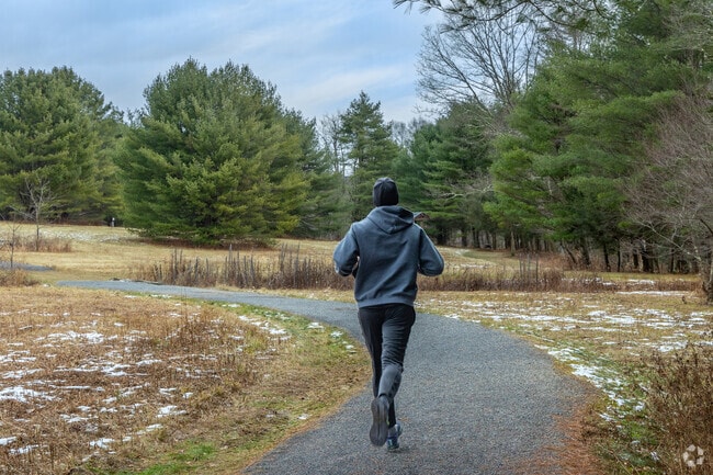 Trail runners from Eldred frequent Rider Park’s scenic paths.