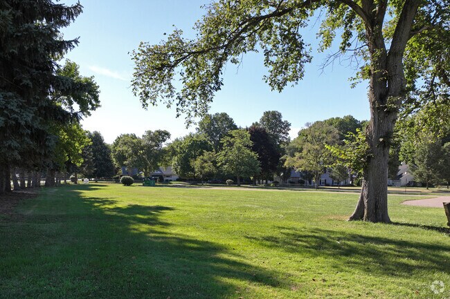 Avondale Elementary playground includes green space.