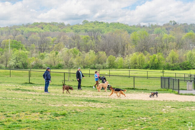 The dog park at Exton Park is where locals take their pups for exercise.