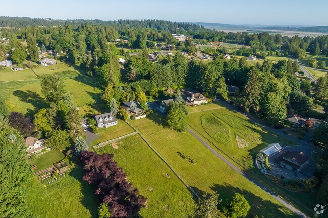 Split level and Modern Traditional constructions shielded by evergreens in Cathcart.