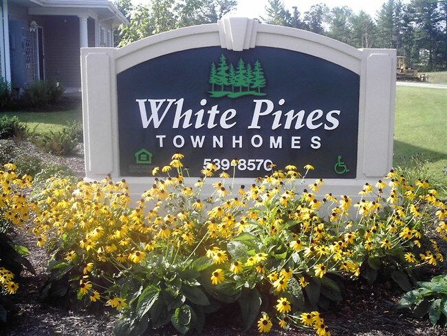 White Pines - Harrison, Harrison, MI 48625 - photo 3