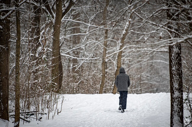 North Reston has many walking trails that are enjoyable year round.
