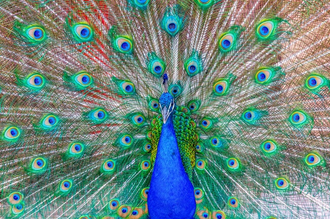 The Albuquerque Zoo is a great activity for families in Barelas.