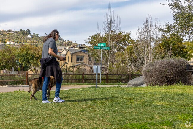 The Harmony Grove Village 4th of July Park in Vineyard.