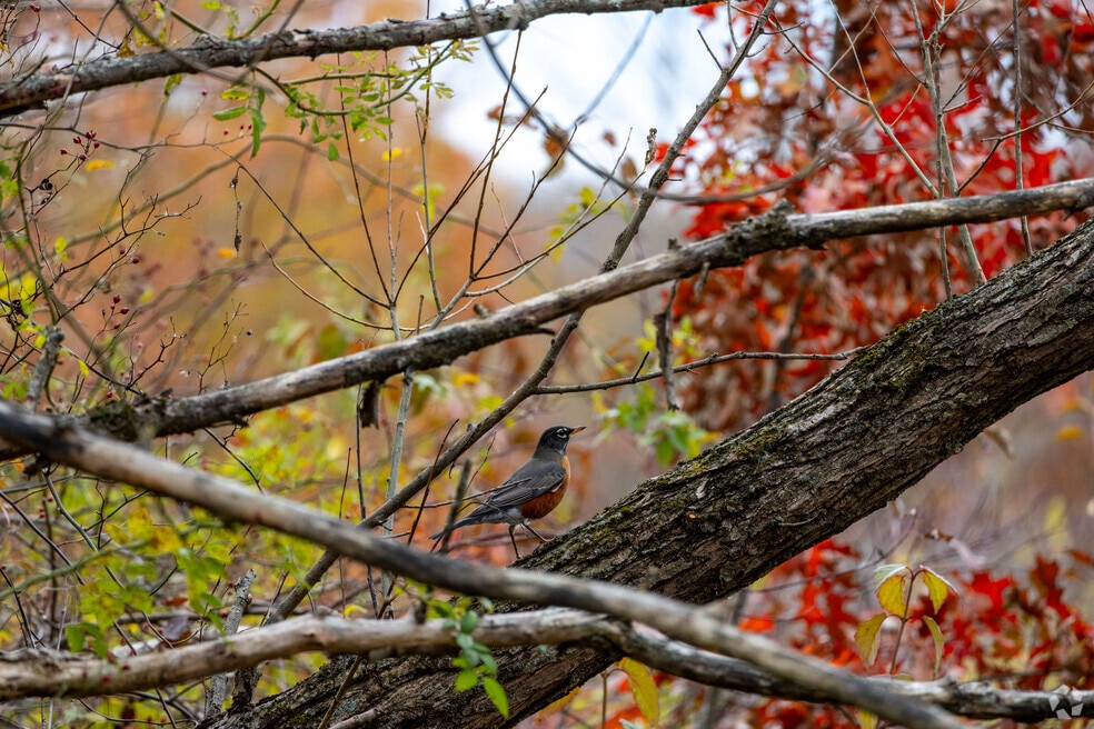 Buckingham_1031189_LM_112125_V1