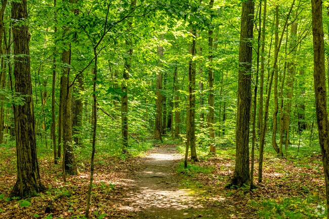 Pittsfield Preserve includes nearly 40 acres of natural wetland.